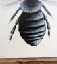 Ashy Mining Bee Original Acrylic Painting  - Image 3