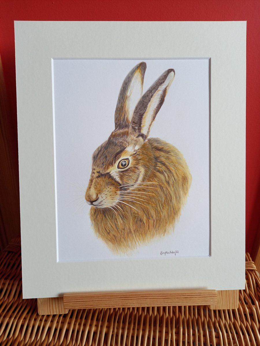 Original Drawing of a Hare