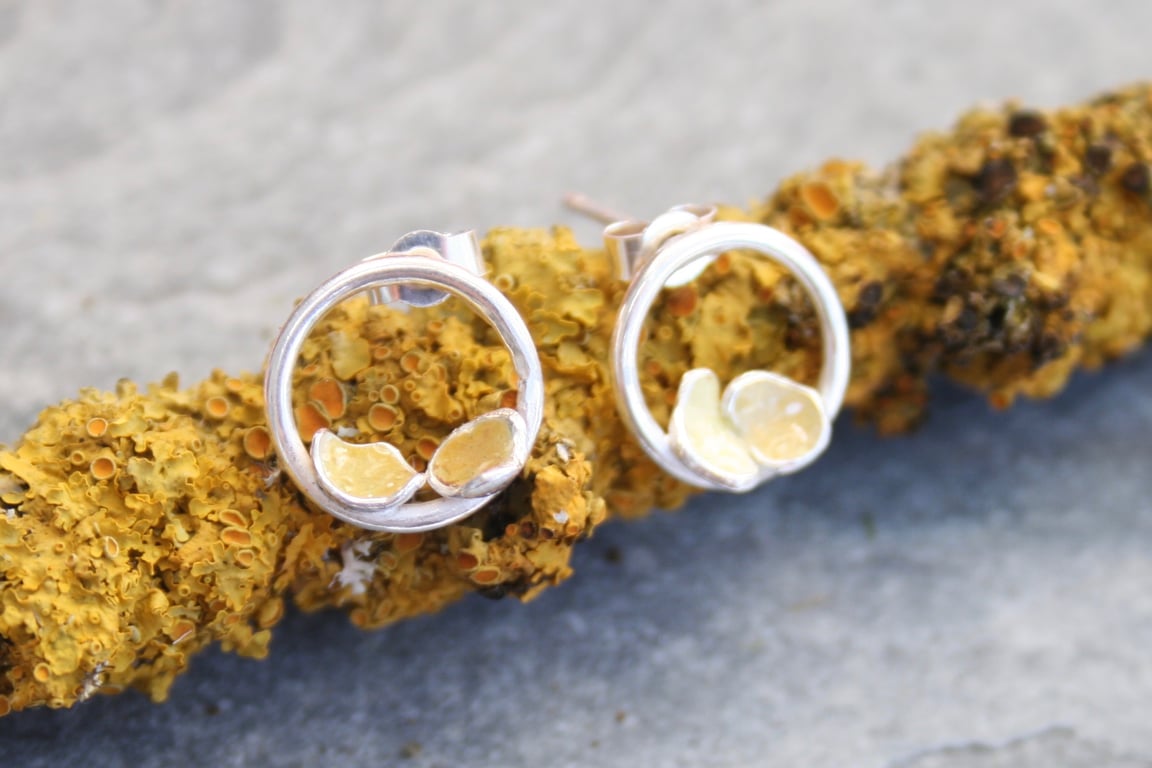 Sterling silver lichen earrings, silver circle earrings, nature inspired earring