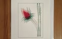 Cat Cards & Flower cards