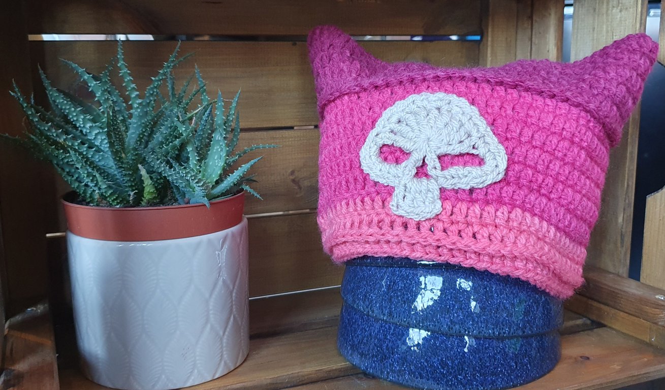 Pink ombre skull cat ear beanie hat
