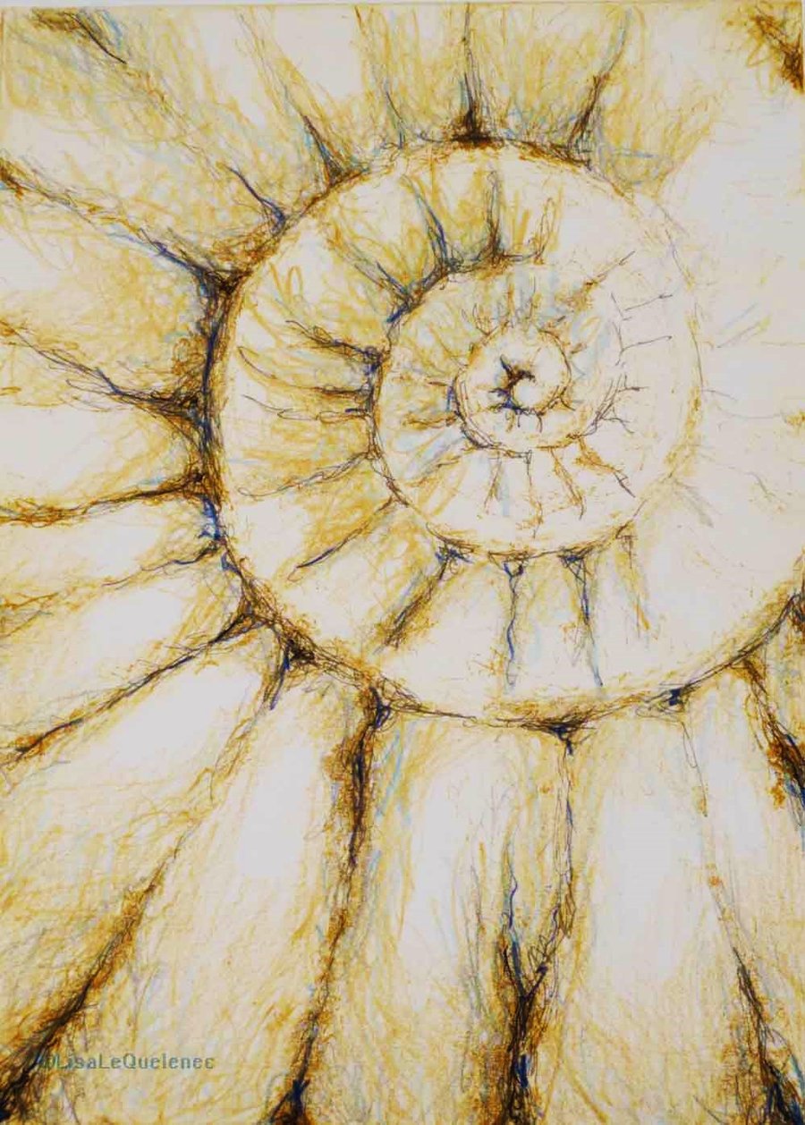 Mixed media ammonite fossil study closeup original art 