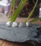 Venus Shell Stud Earrings - Image 8
