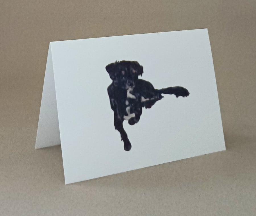 Black dog card, handmade blank inside card for a dog lover