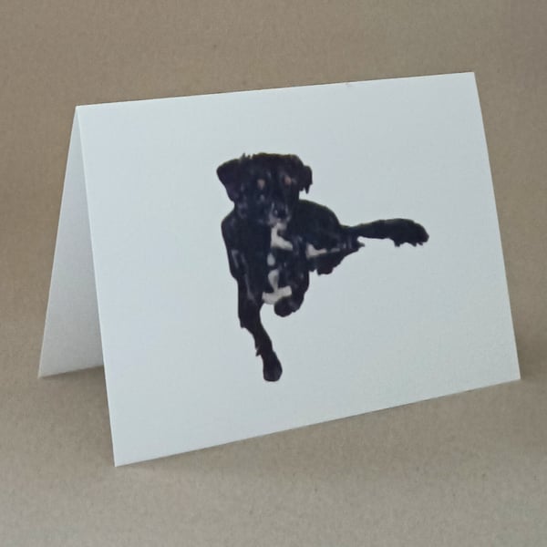 Black dog card, handmade blank inside card for a dog lover
