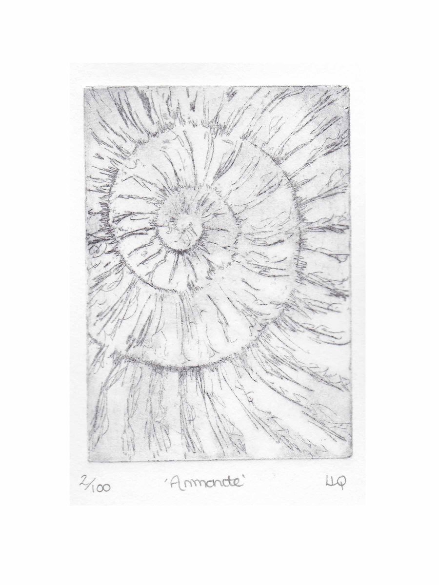 Etching no.2 of an ammonite fossil in an edition of 100