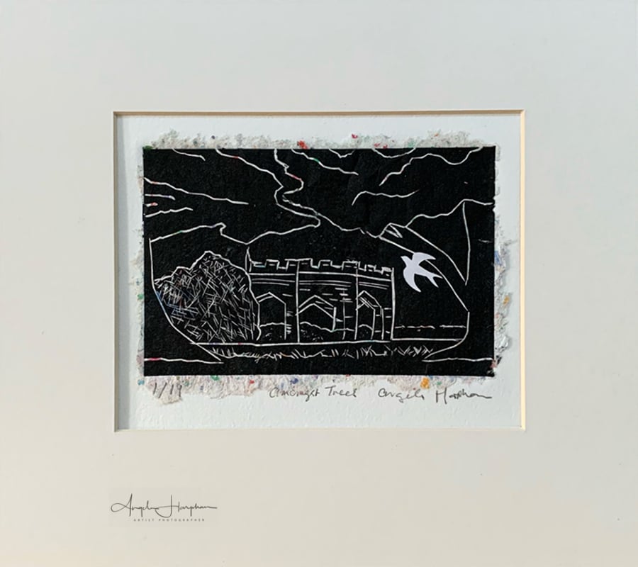 Lino Print onto Hand Made Paper - Under Trees Renishaw Hall