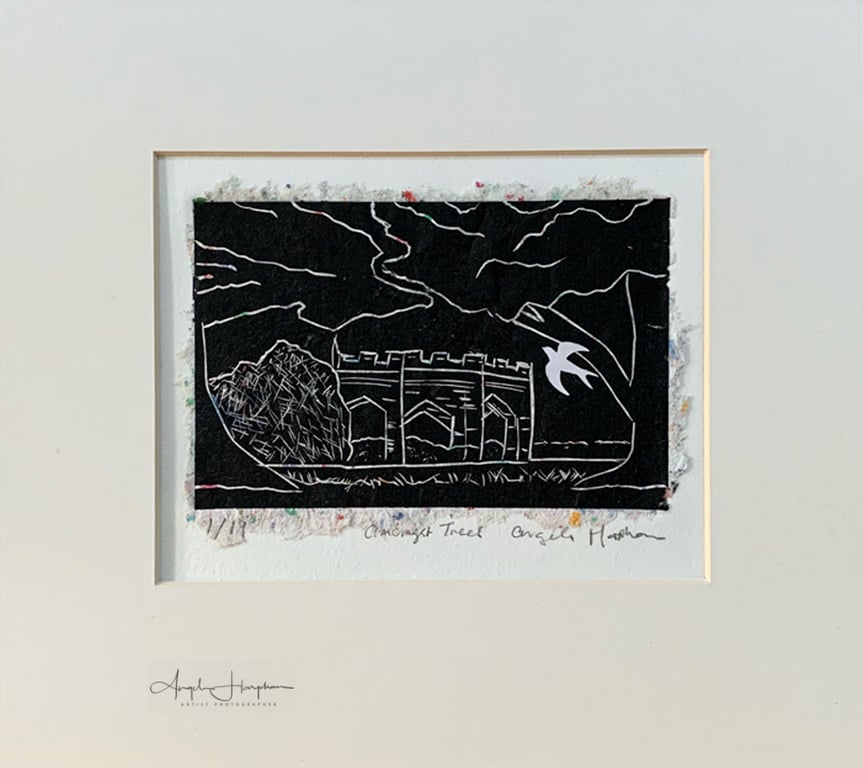 Lino Print onto Hand Made Paper - Under Trees Renishaw Hall