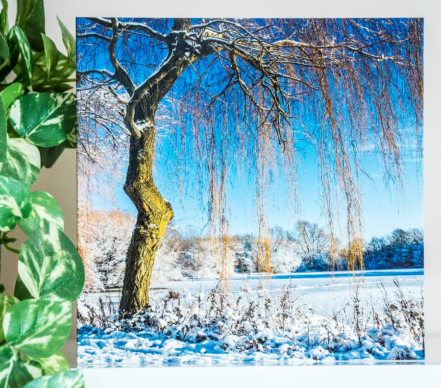 Snow Snowy Weeping Willow Tree Blank Greetings Card landscape lake winter 