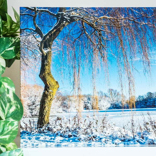 Snow Snowy Weeping Willow Tree Blank Greetings Card landscape lake winter 