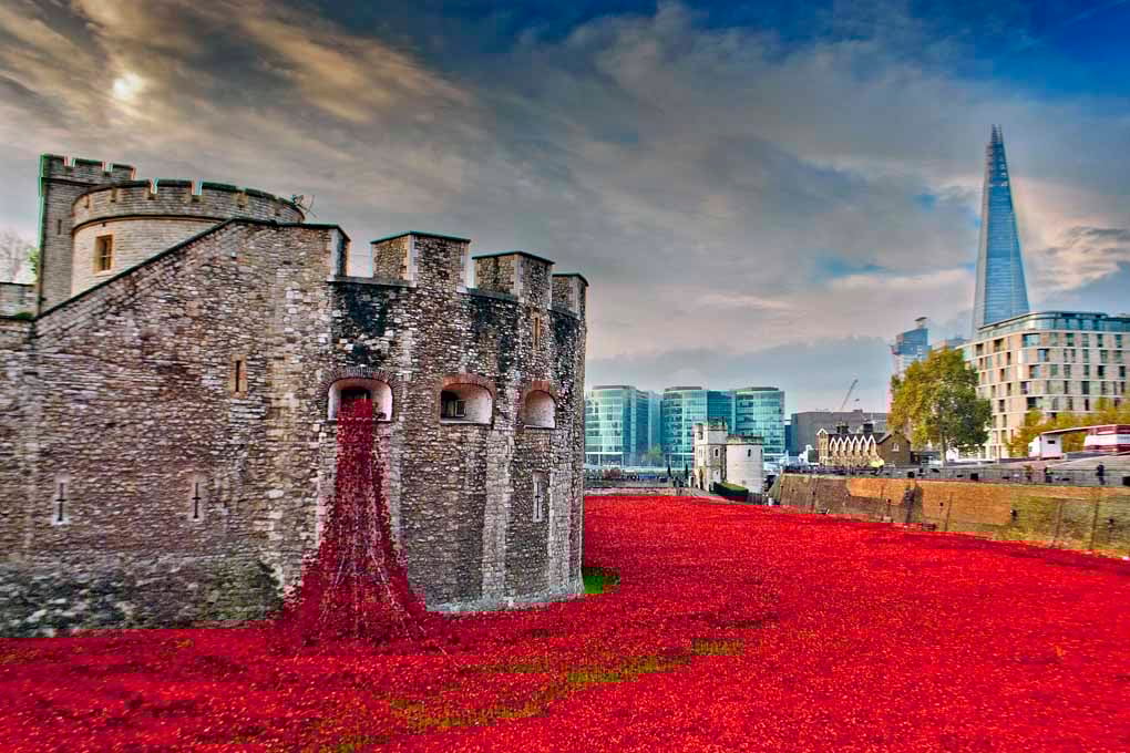 Tower Of London Poppies Red Poppy England Photograph Print