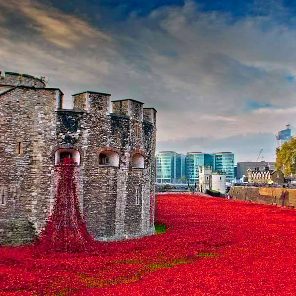 Tower Of London Poppies Red Poppy England Photograph Print