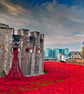 Tower Of London Poppies Red Poppy England Photograph Print