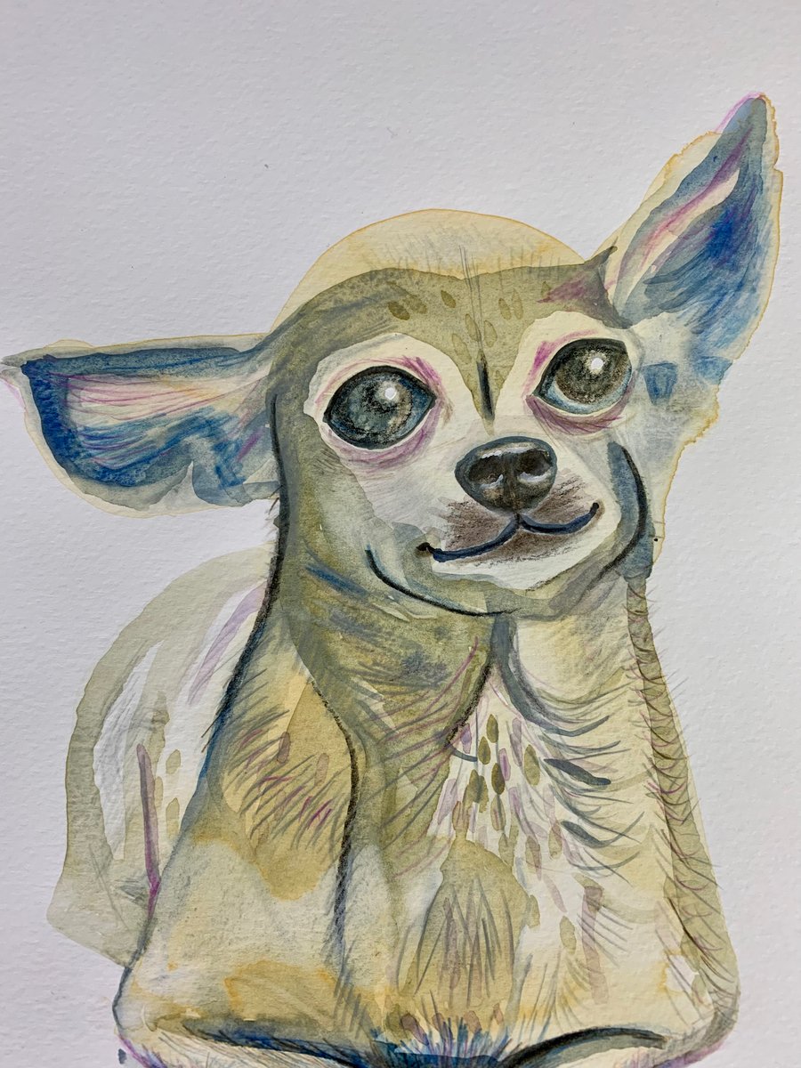 Quirky chihuahua dog (original painting)