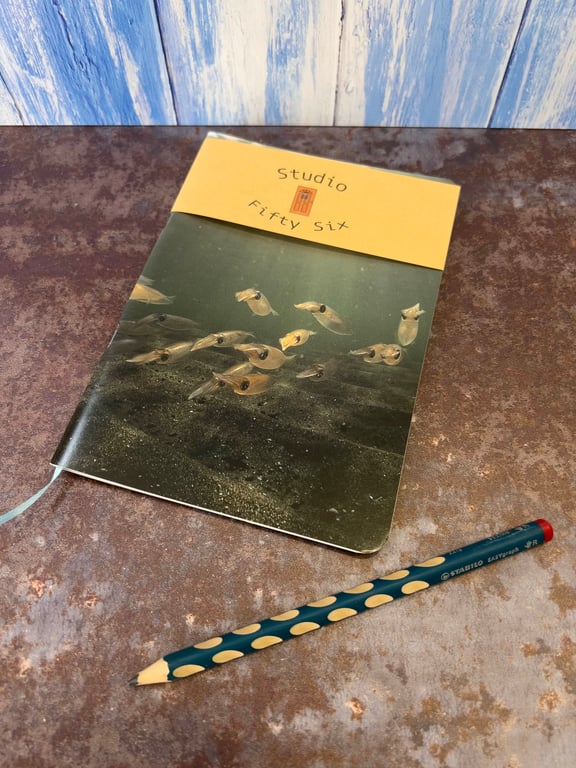 Notebook, Marine themed, A5 (ish), made from up-cycled and recycled materials.