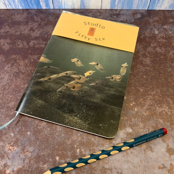 Notebook, Marine themed, A5 (ish), made from up-cycled and recycled materials.