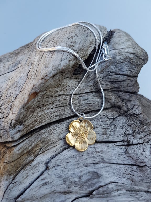 Golden Buttercup Large