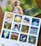 2027 Nature Art Calendar - SMALL wall calendar, wildlife illustrations - Image 2