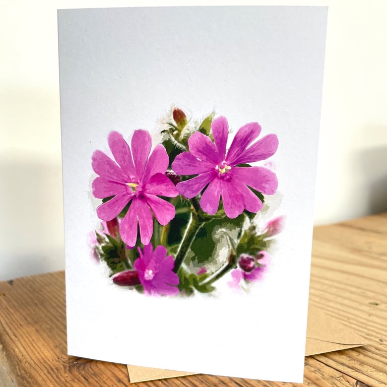 Blank Card A6 Portrait - Red Catchfly