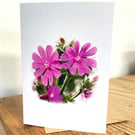 Blank Card A6 Portrait - Red Catchfly
