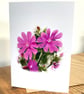 Blank Card A6 Portrait - Red Catchfly