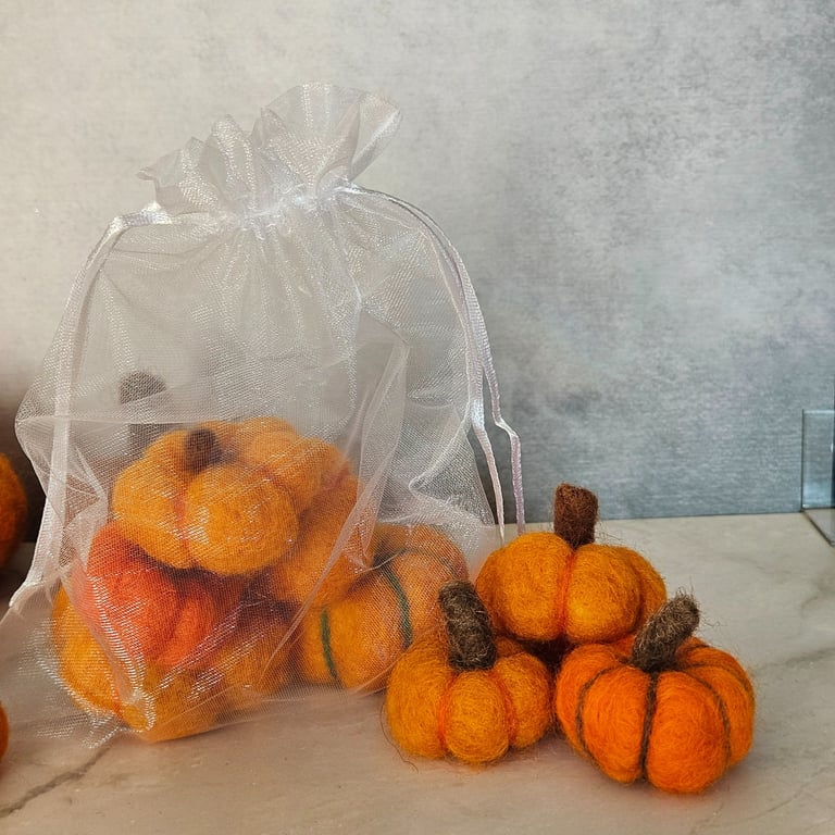 Autumn Décor Pumpkins - Bag of Pumpkins, Halloween Gift 