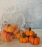 Autumn Décor Pumpkins - Bag of Pumpkins, Halloween Gift 