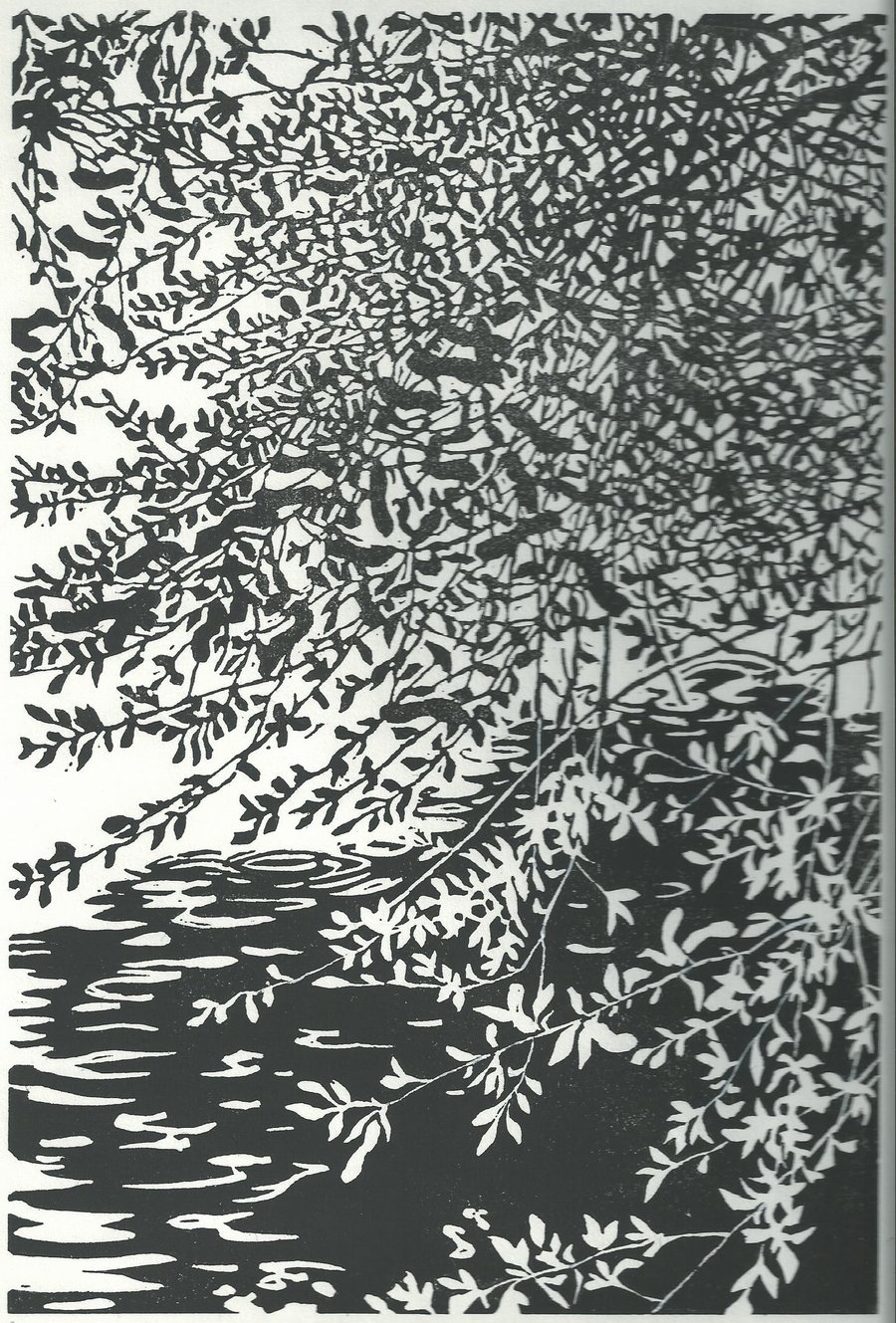 Springtime Fretwork - Rawcliffe Bridge