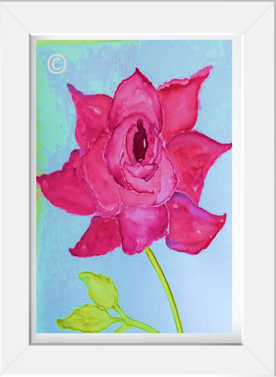 Watercolour Rose Print Limited Edition 
