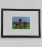 ACEO  - Image 5