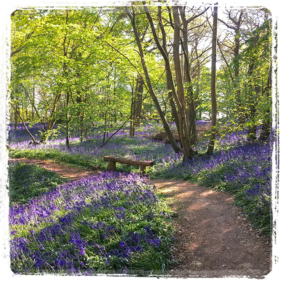 ‘A Seat in Blue’