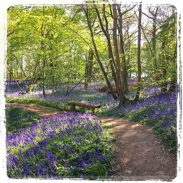 ‘A Seat in Blue’