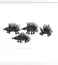 Hedgepigs  -  Hedgehog lino cut print - Image 1