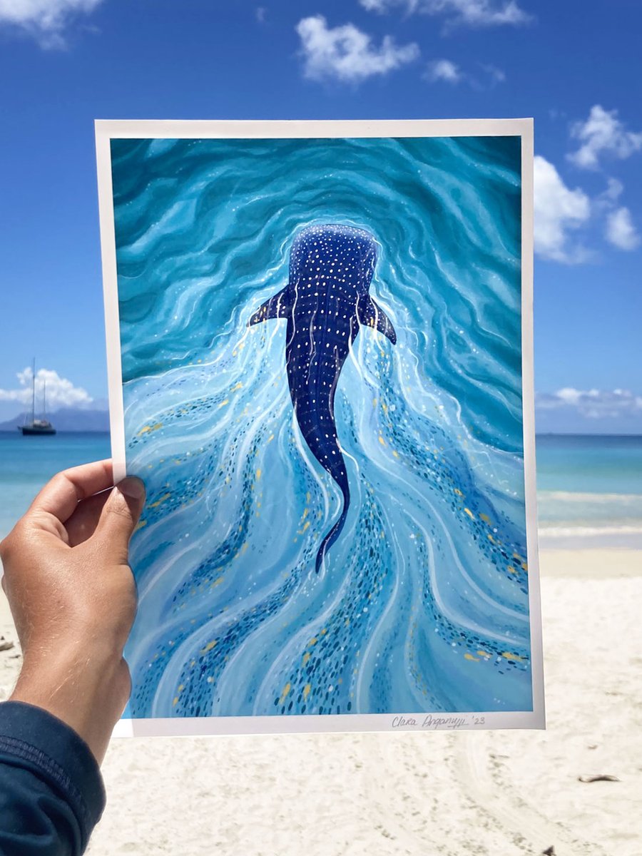 Whale Shark Illustrated Art Print