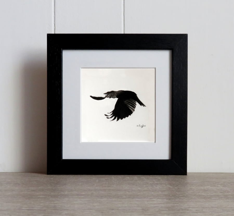 Courting Crow 9, original charcoal pencil drawing of a flying crow, framed.