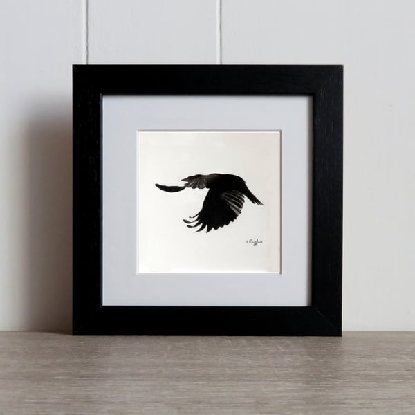 Courting Crow 9, original charcoal pencil drawing of a flying crow, framed.