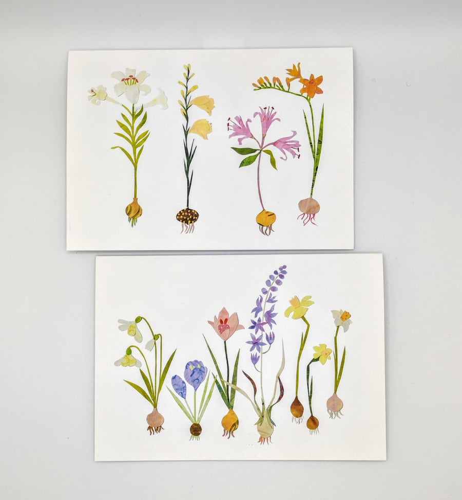 Beautiful bulb cards, set of two blank inside