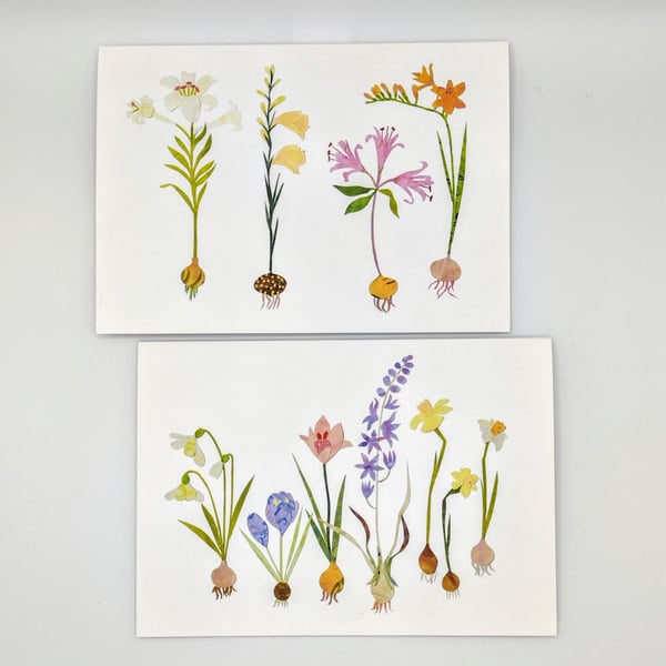 Beautiful bulb cards, set of two blank inside