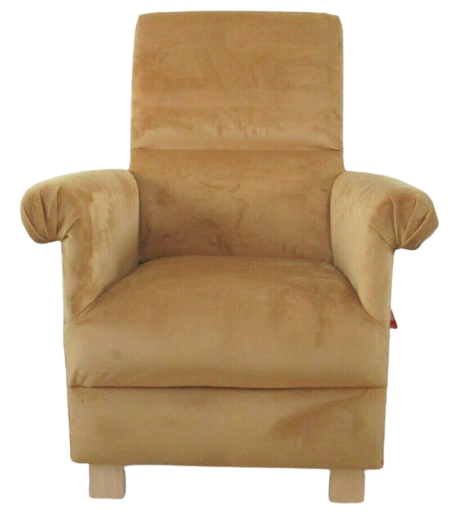 Mustard Ochre Velvet Fabric Adult Armchair Chair Plain Accent Statement Small 