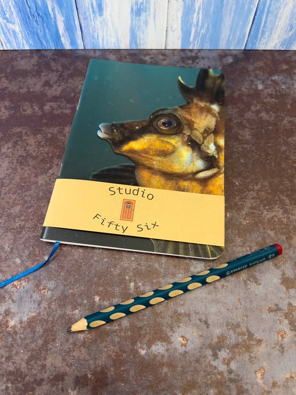 Notebook, Marine themed, A5 (ish), made from up-cycled and recycled materials.