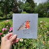 Robin card