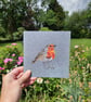 Robin card, bird cards, thinking of you card, garden bird - Image 1