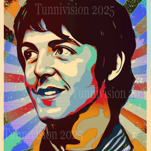 Paul McCartney 12 x 8 inch full colour ltd edition numbered art print