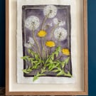 Framed original watercolour and ink painting, 'Dandelion'