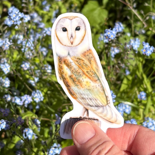 Barn Owl Sticker