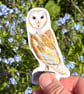 Barn Owl Sticker - Image 1