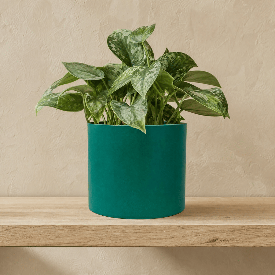 Large Persian Green Round Plant Pot 15 cm Indoor Planter