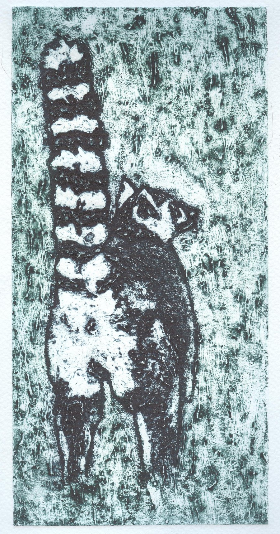 Ring Tailed Lemur 2 Limited Edition Collagraph Print