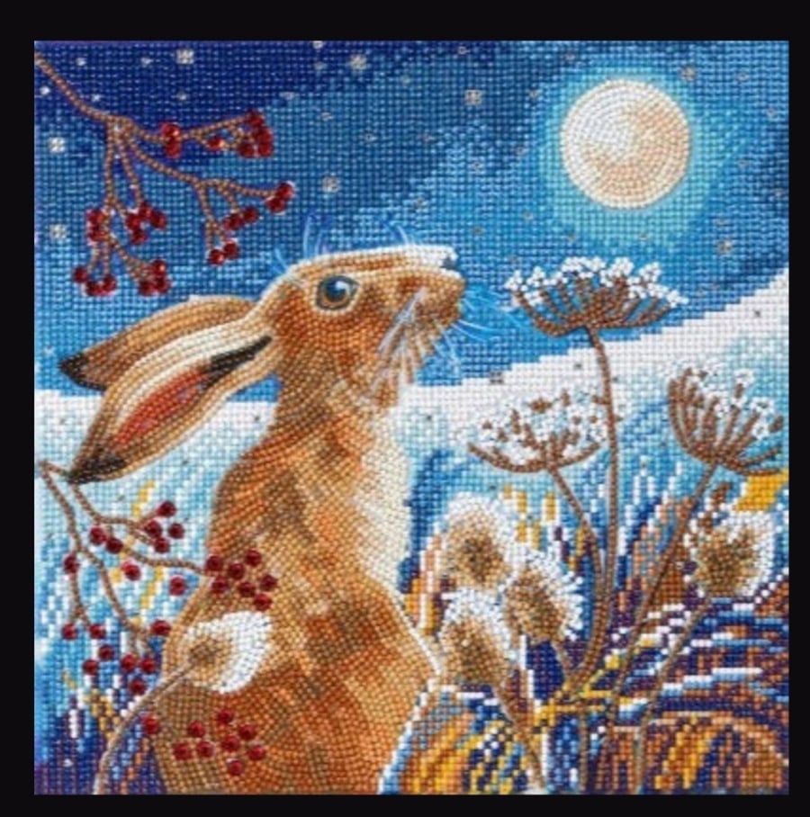 Moonlight hare 30x30cm crystal art kit 