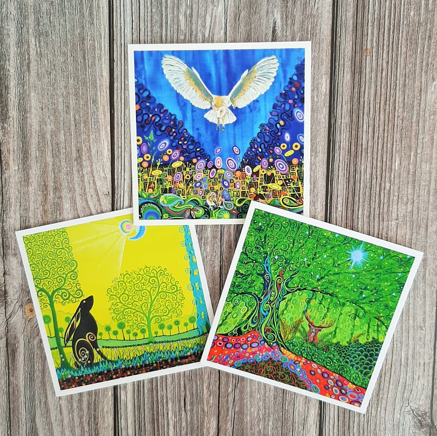 Wildlife Art Birthday, Easter or Thank You Card Pack of 3